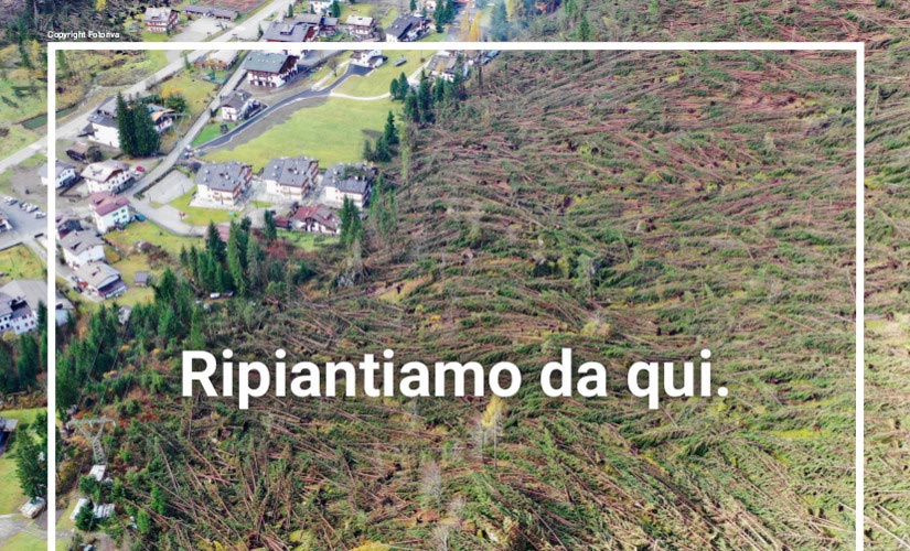 Ripiantiamo da qui: aiuto alla montagna colpita dal maltempo